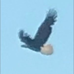 Meet your Posher, Danny